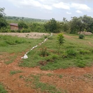 WhatsApp Image 2026-01-06 at 8.35.03 AM (1)