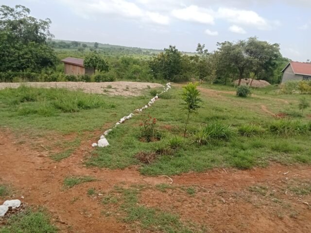 WhatsApp Image 2026-01-06 at 8.35.03 AM (1)