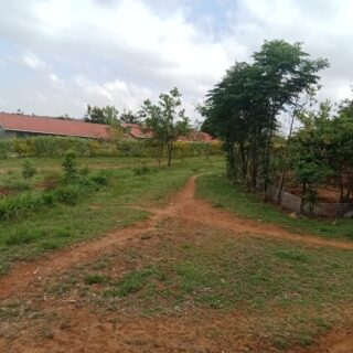 WhatsApp Image 2026-01-06 at 8.35.03 AM